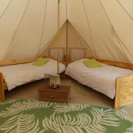 Camping Du Petit Gue Du Roi Clery-Saint-Andre Exterior photo